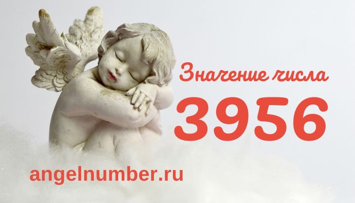 число 3956