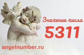 число 5311