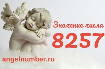 число 8257