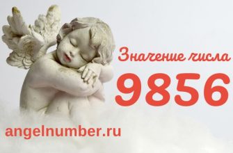 число 9856