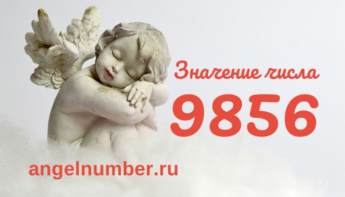 число 9856