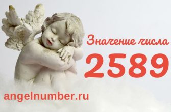 число 2589 в ангельской нумерологии