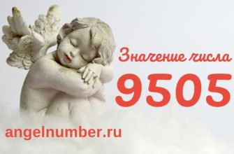 значение числа 9505 в ангельской нумерологии